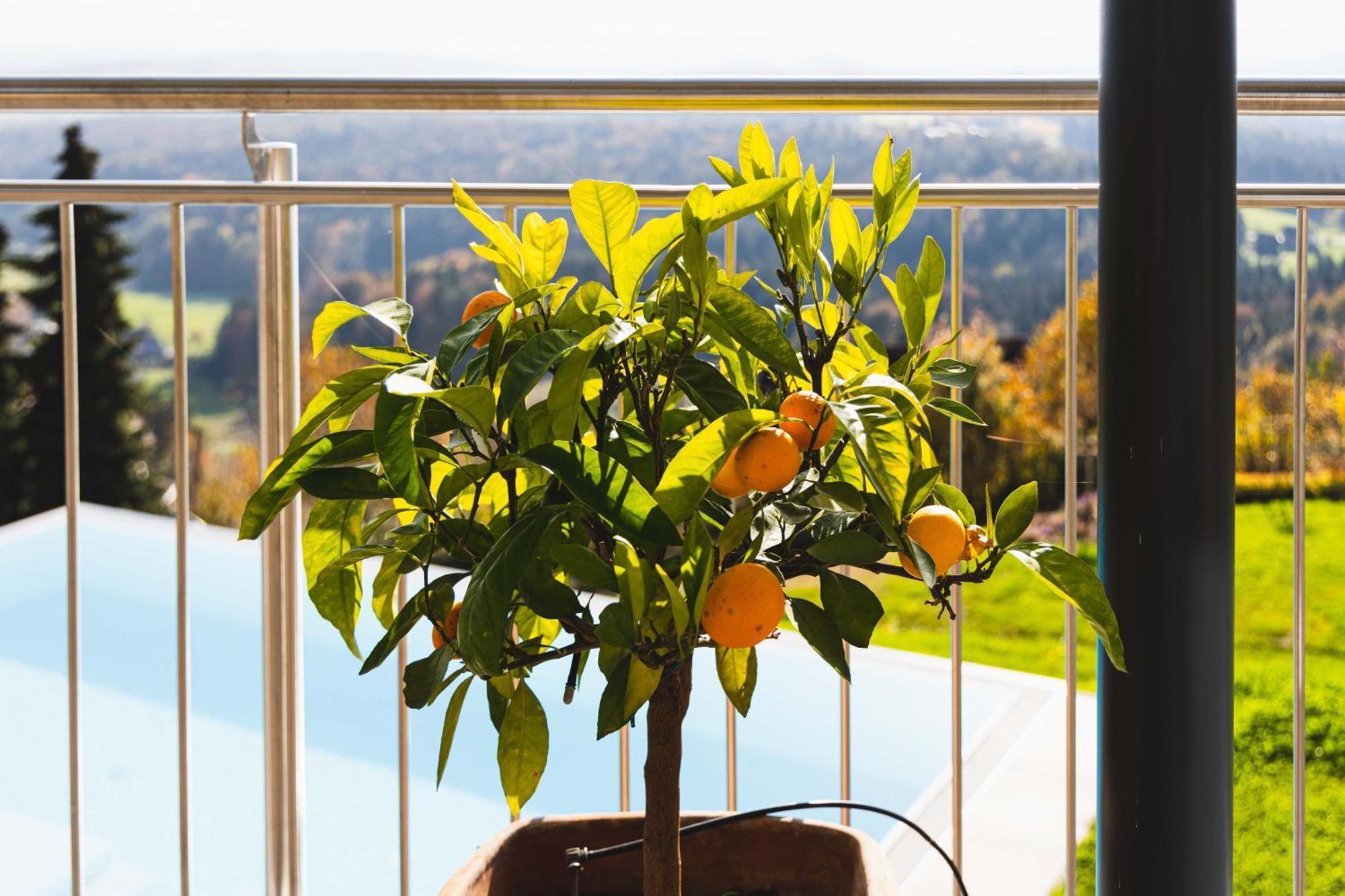 Greim15 --- Ganzes Ferienhaus Mit Fernsicht, Pool, Wellness 도이치란즈베르그 외부 사진